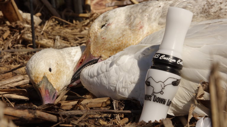 SNOW BOSS Snow Goose Call Snows Down Low