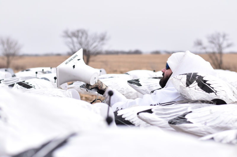 Premium Snow Goose ECallers, Speakers & Snow Goose Sounds