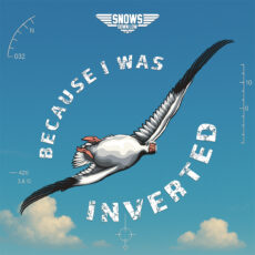 "Because I Was Inverted" Vinyl Banner